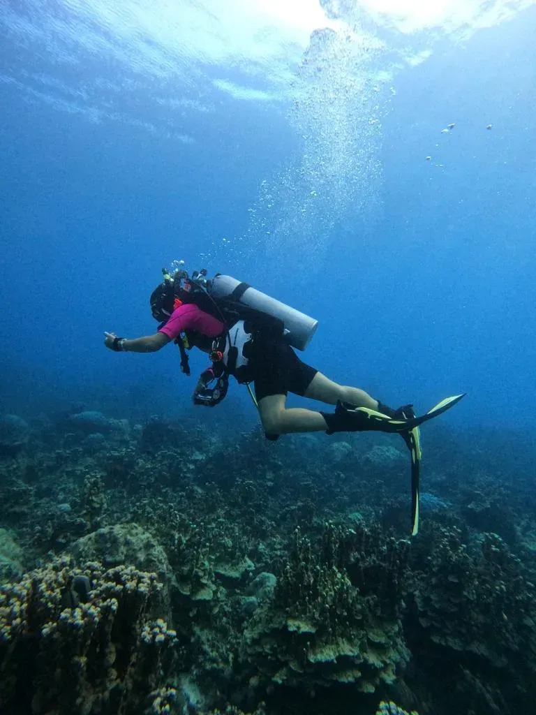 scuba diving and underwater photography