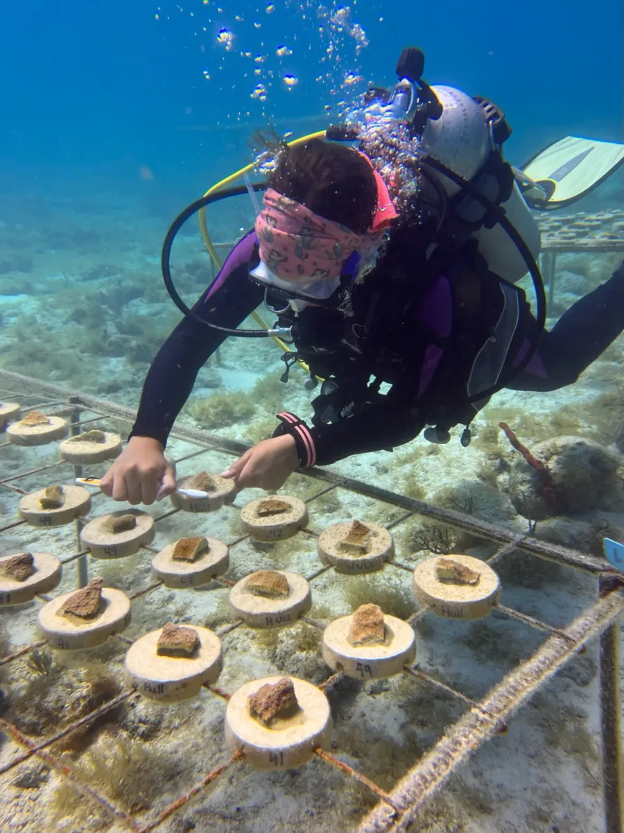 Coral restoration technician